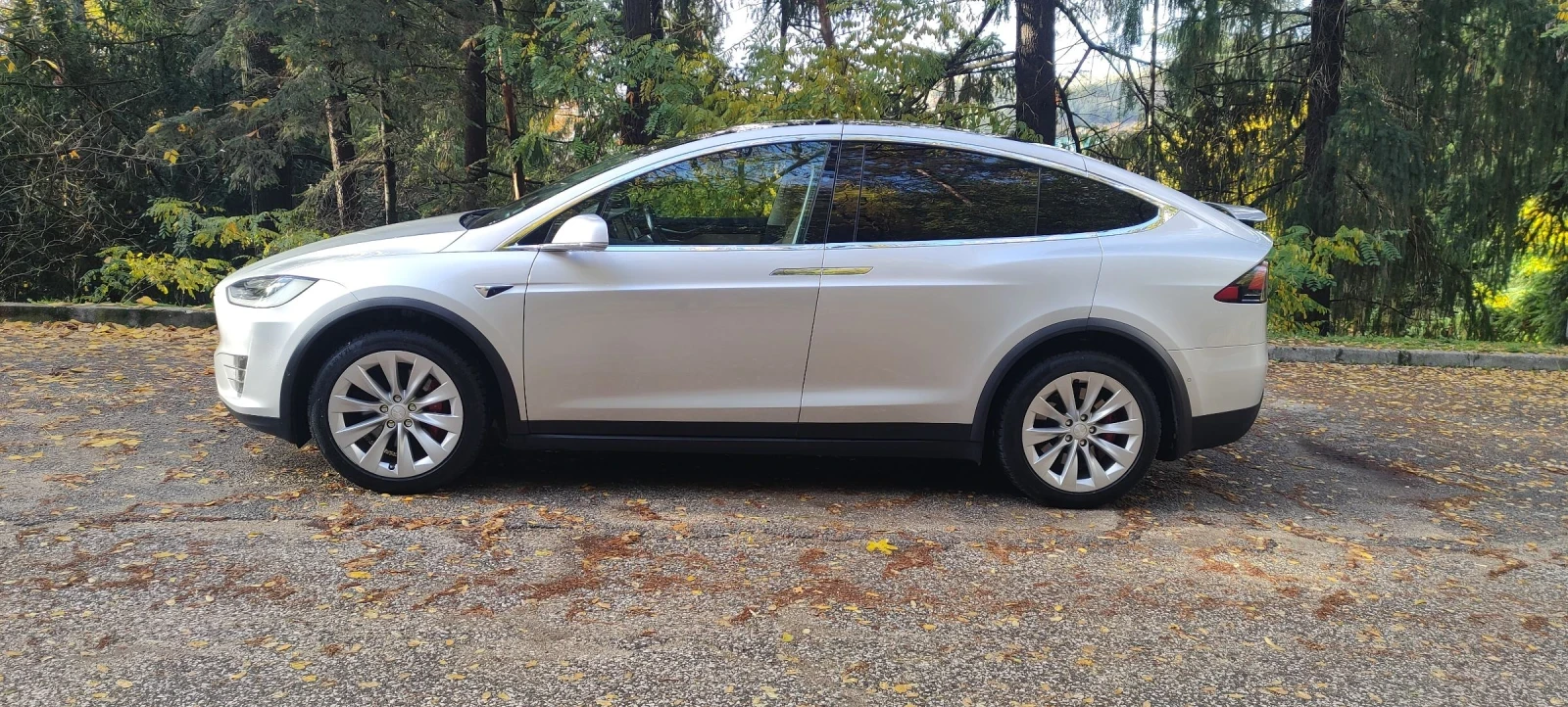 Tesla Model X 100 D | Mobile.bg   2
