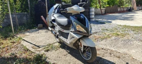 Peugeot Speedfight 3-13-50 | Mobile.bg    8