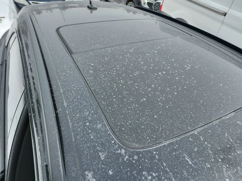 Audi Q8  PROGRESSIV /360 / PANO / ���������  | Mobile.bg � ����������� 16