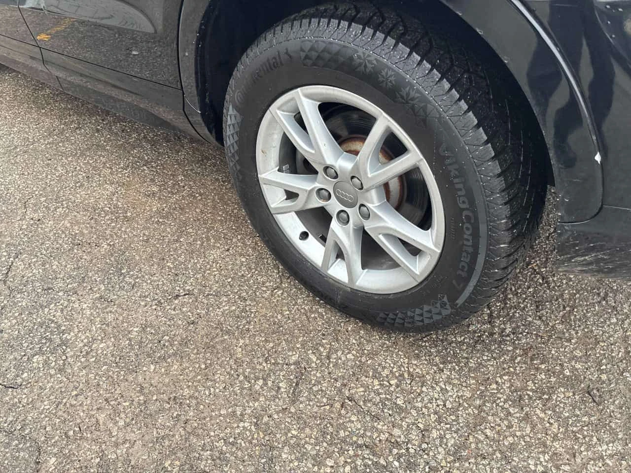 Audi Q3 * Progressiv * �������* ��������* KEYLESS*  | Mobile.bg � ����������� 13