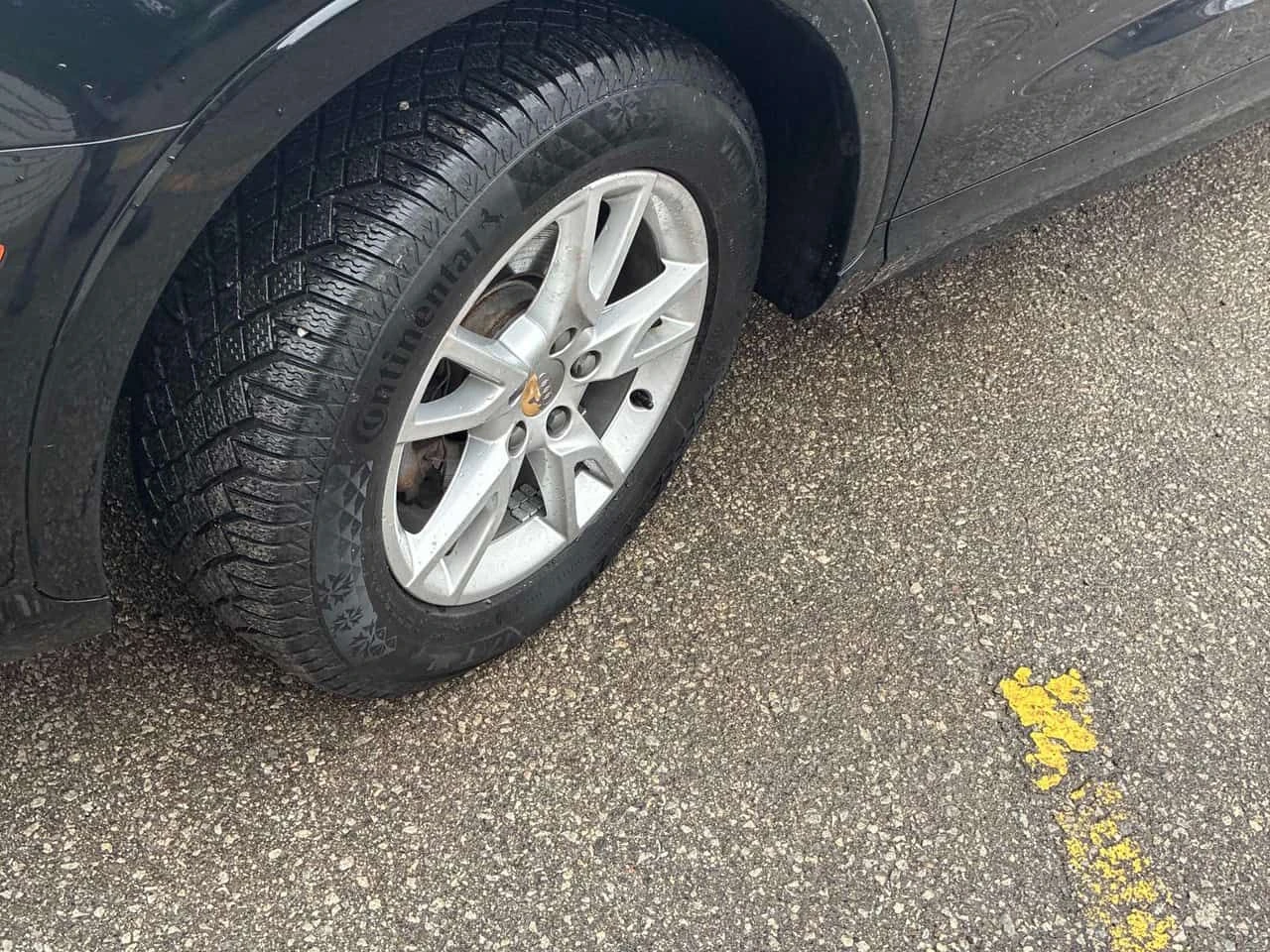 Audi Q3 * Progressiv * �������* ��������* KEYLESS*  | Mobile.bg � ����������� 12