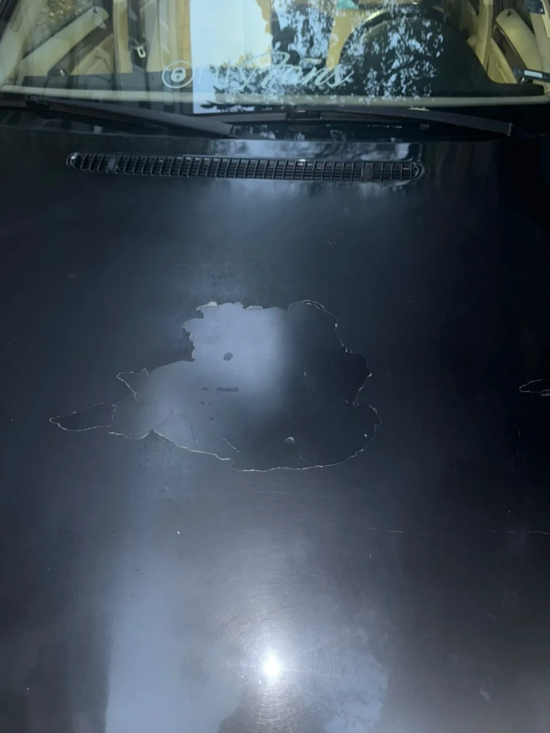 BMW 320 2.0d, снимка 15 - Автомобили и джипове - 52344478