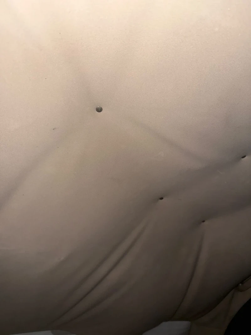 BMW 320 2.0d, снимка 14 - Автомобили и джипове - 52344478