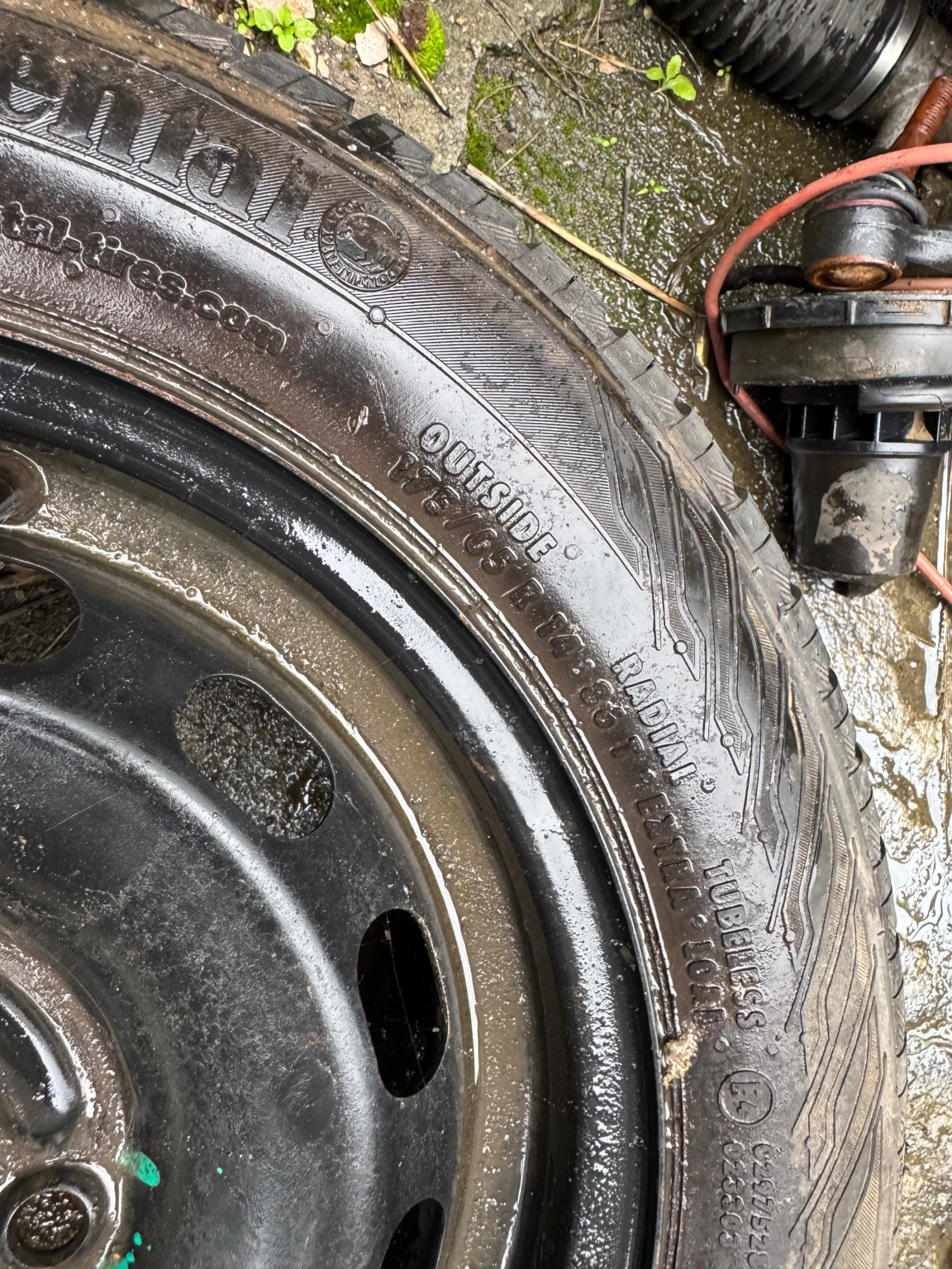 ���� � ������ 175/65R14 �� Ford Fiesta | Mobile.bg � ����������� 3