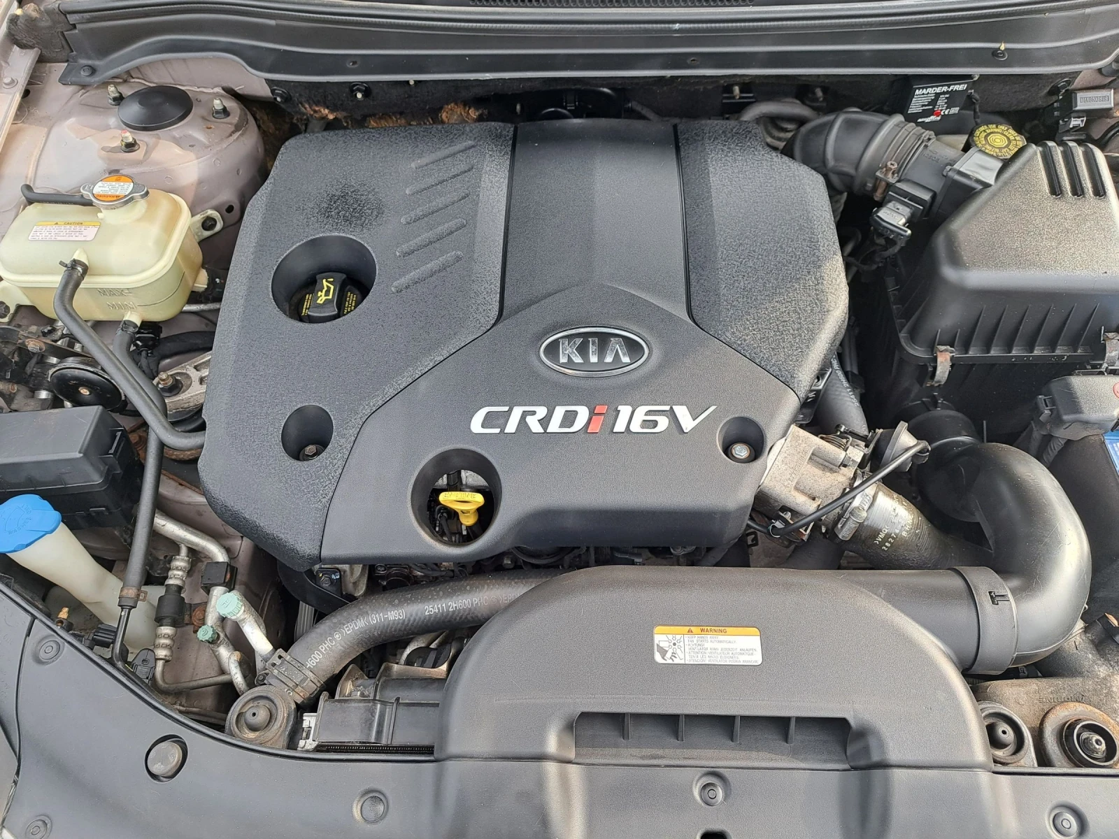 Kia Ceed  - изображение 10