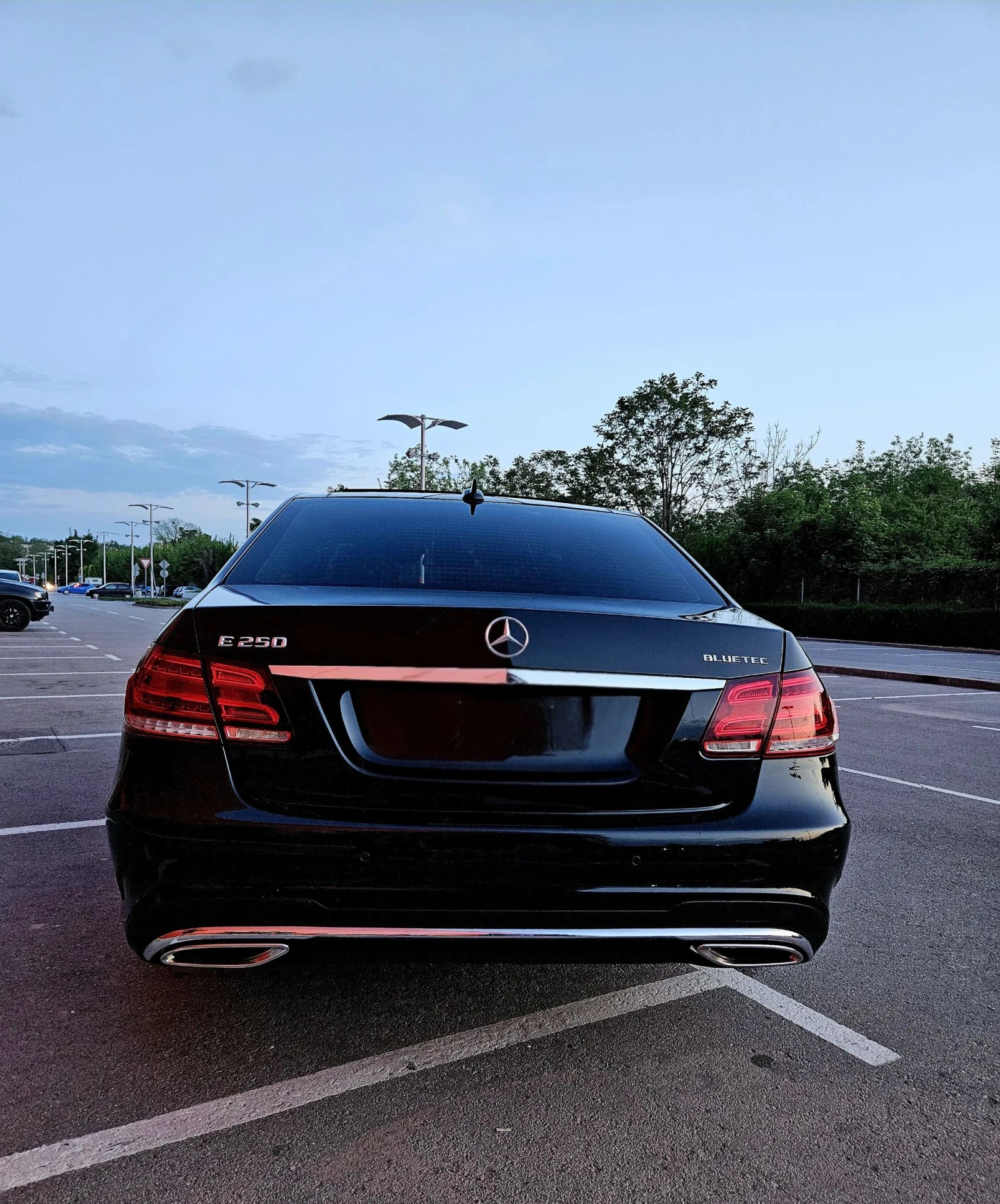 Mercedes-Benz E 250 Bluetec AMG FACELIFT 360  PANORAMA, снимка 5 - Автомобили и джипове - 54520621