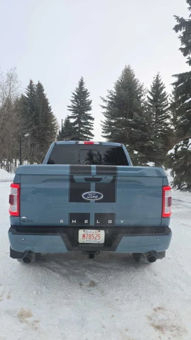 Ford F150 5.0L 8cyl 4WD - 36800 € / 71974.54 лв. - 67478593 11