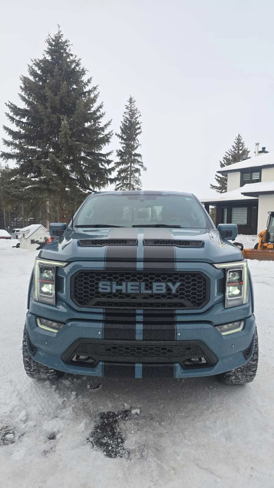 Ford F150 5.0L 8cyl 4WD - изображение 3