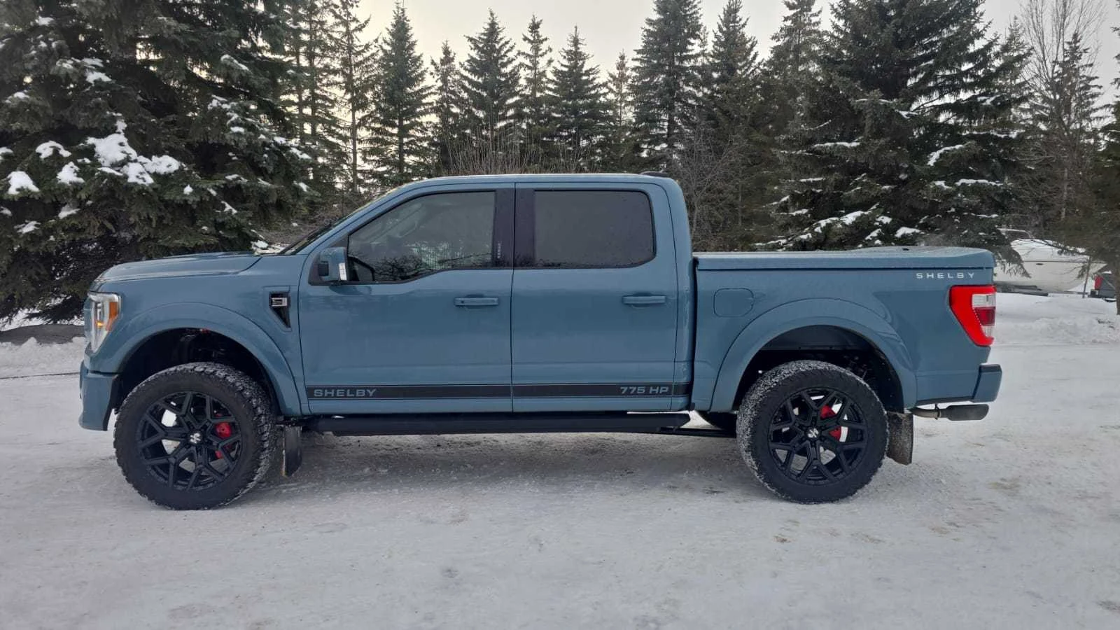 Ford F150 5.0L 8cyl 4WD - изображение 2