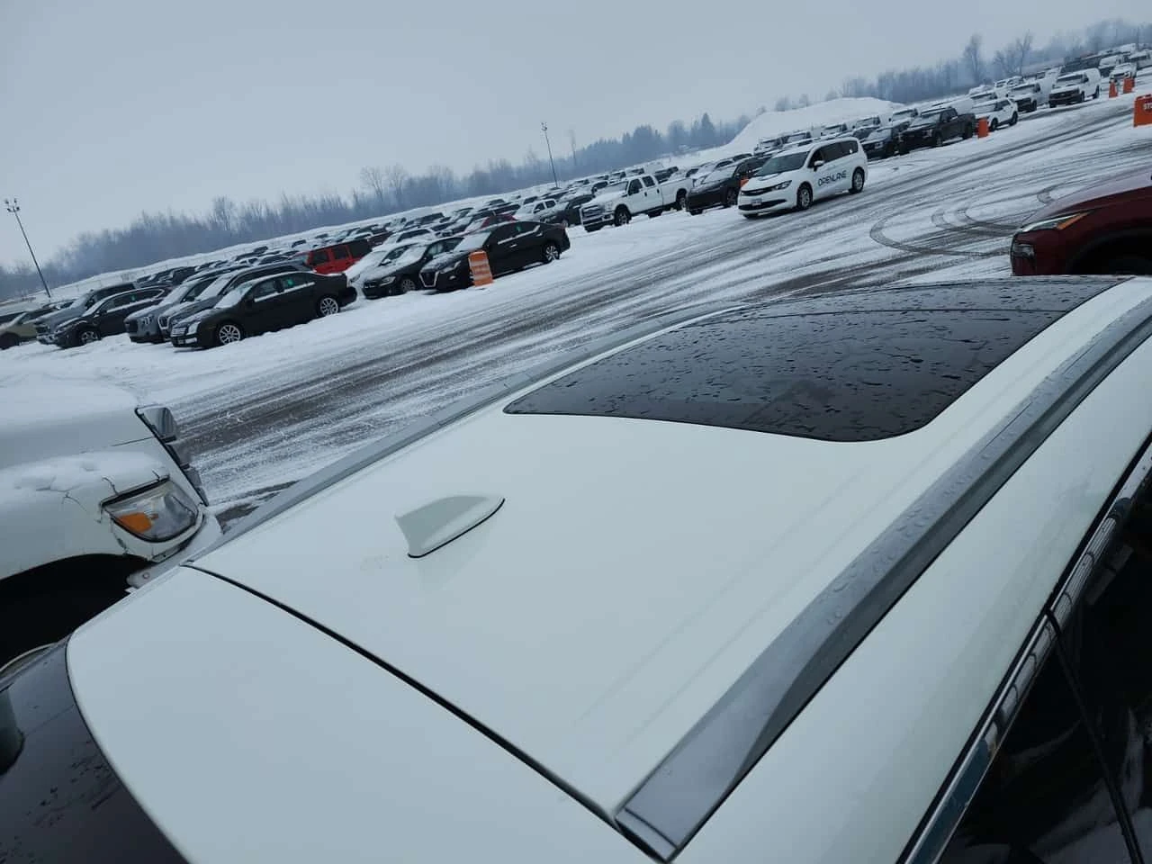 Nissan Murano * SL * CARFAX * ���� �� �� | Mobile.bg � ����������� 5