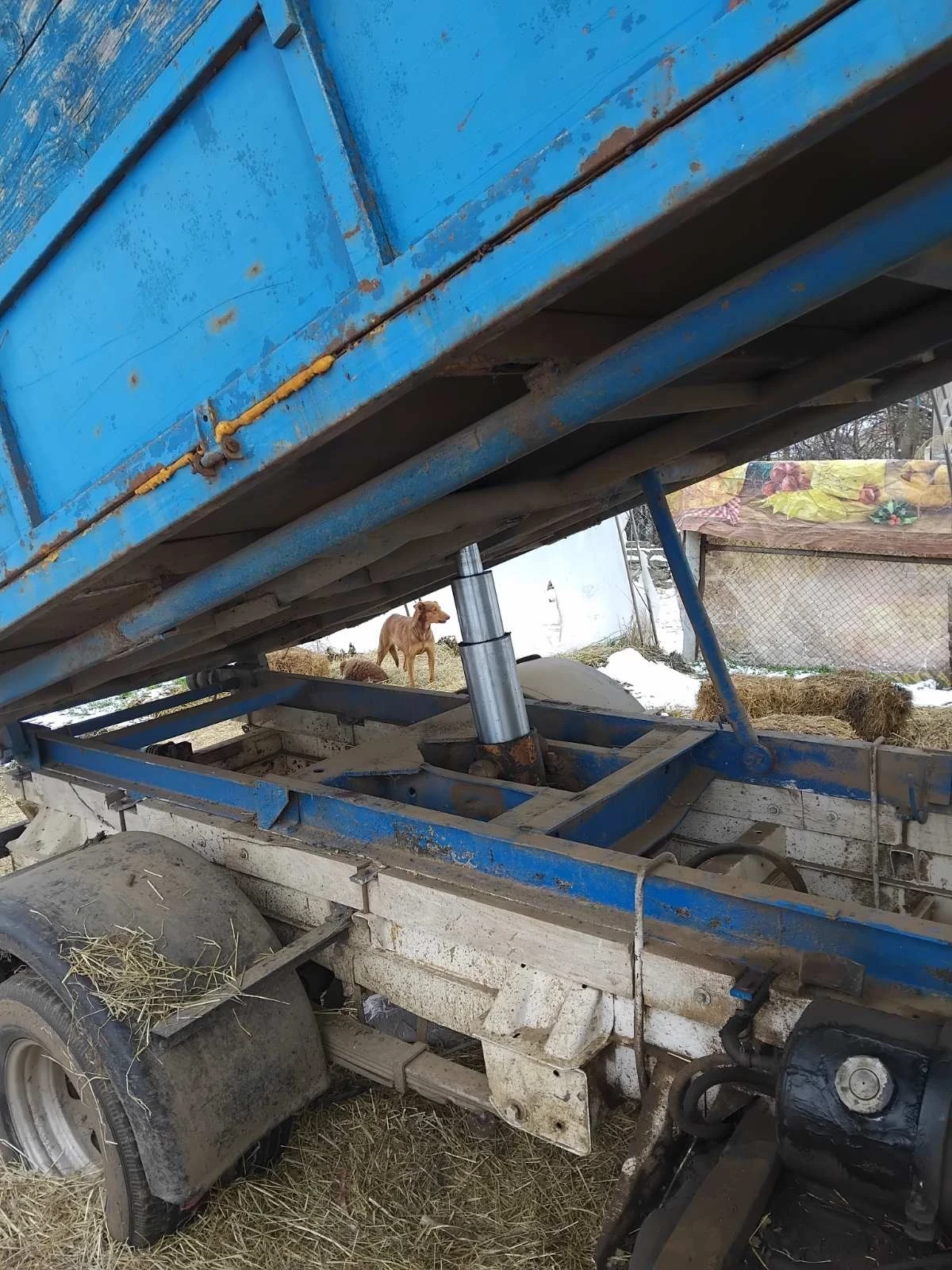 Mercedes-Benz 410 2.9 - изображение 4