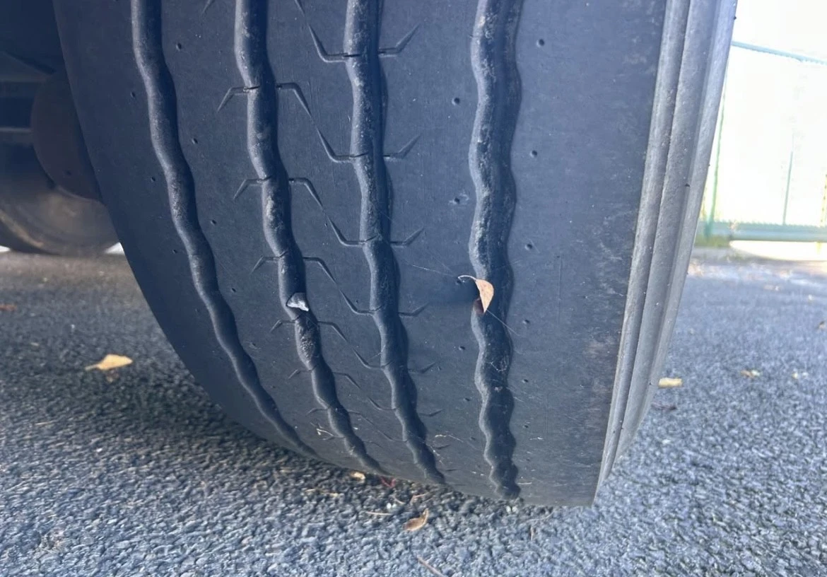 �� ������ Shmitz cargobull standart | Mobile.bg � ����������� 6