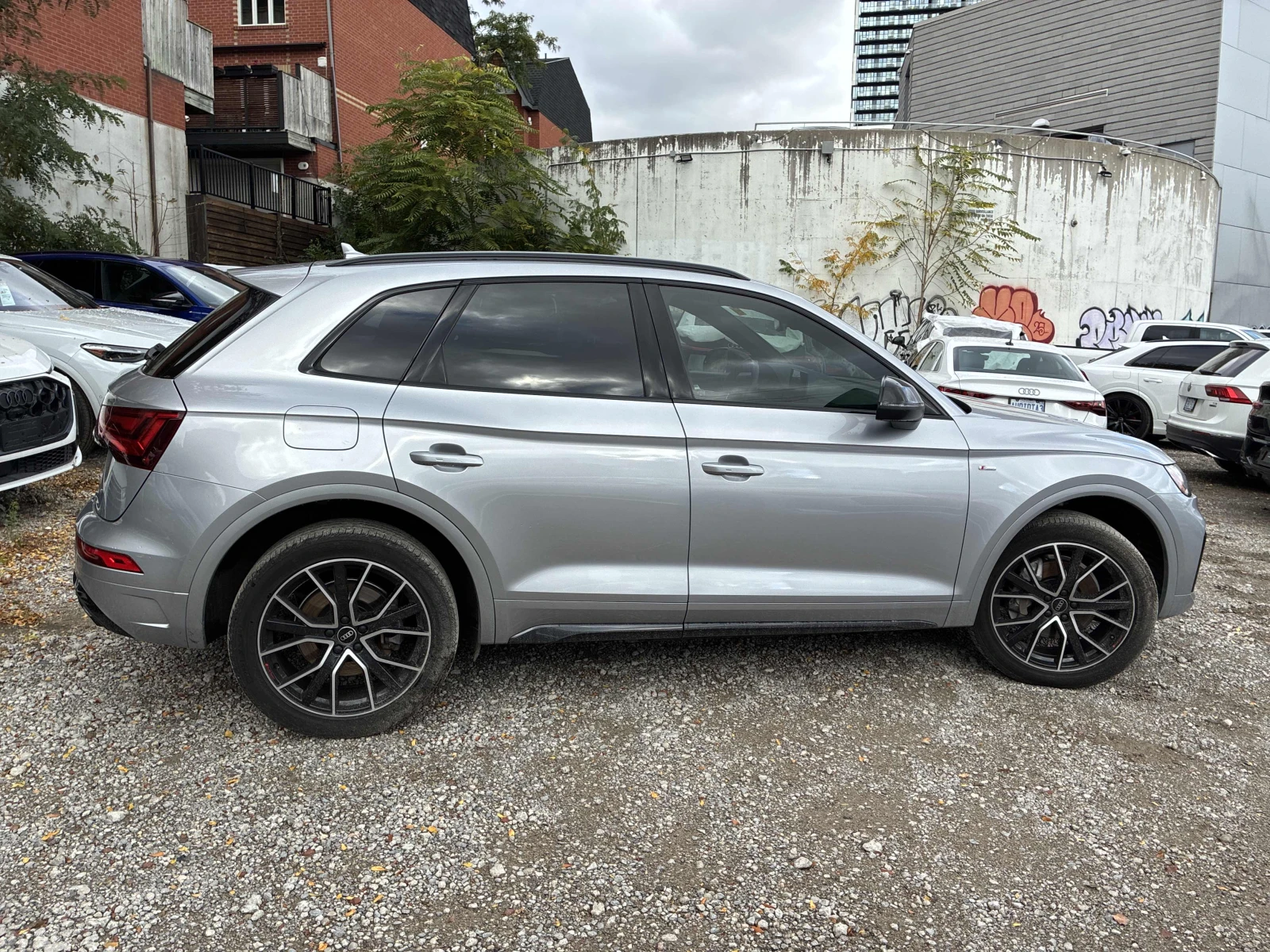 Audi Q5 Progressiv  Nardo Grey / Carfax / Лизинг, снимка 3 - Автомобили и джипове - 56520771
