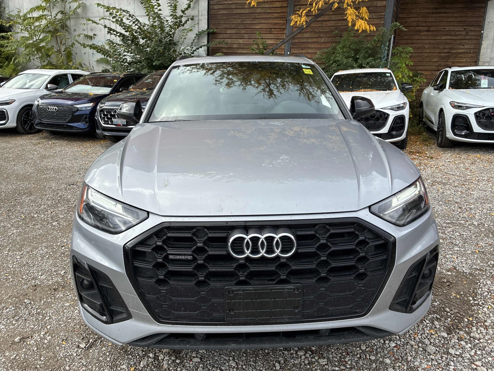 Audi Q5 Progressiv  Nardo Grey / Carfax / Лизинг, снимка 6 - Автомобили и джипове - 56520771