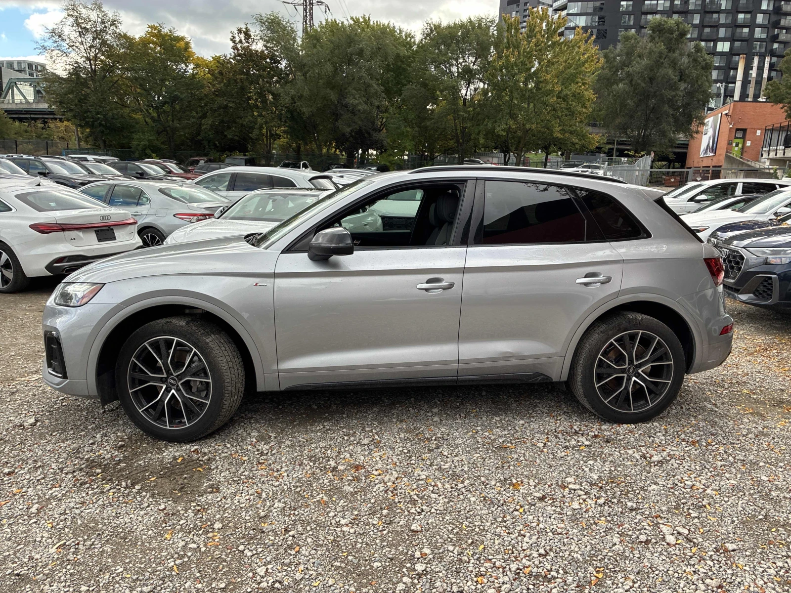 Audi Q5 Progressiv  Nardo Grey / Carfax / Лизинг, снимка 2 - Автомобили и джипове - 56520771