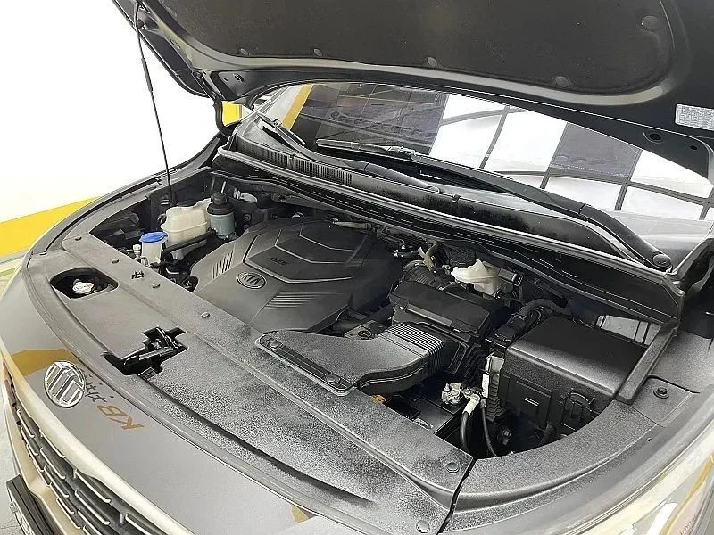 Kia Carnival, снимка 6 - Автомобили и джипове - 56689499