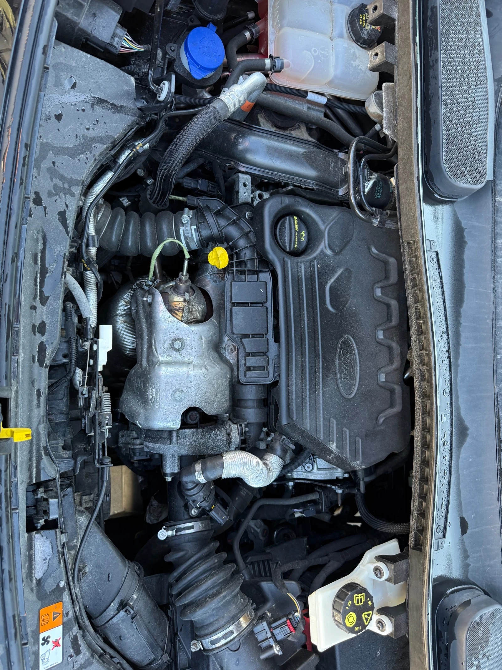 Ford Connect ��� ���������!!! | Mobile.bg � ����������� 10