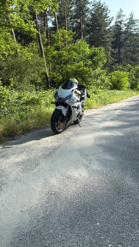 Honda Cbr 954 | Mobile.bg    5