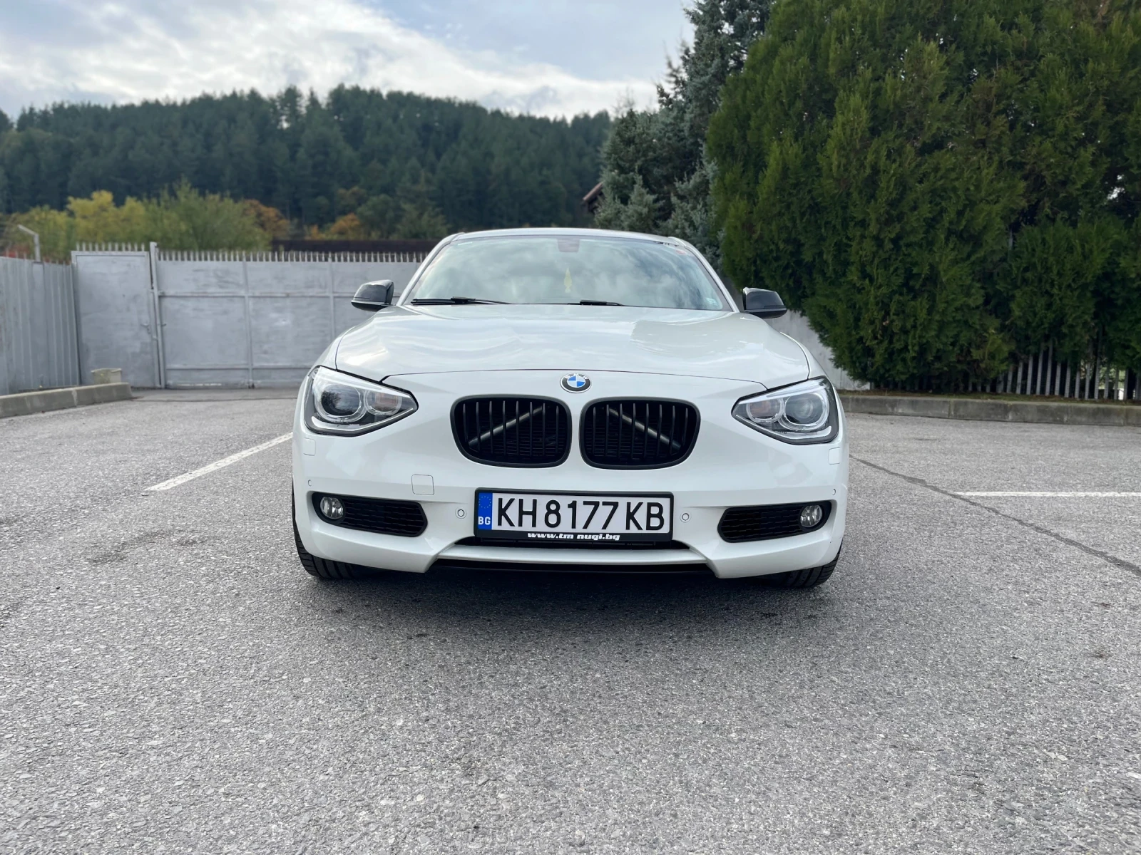 BMW 120 2.0, снимка 2 - Автомобили и джипове - 55000165