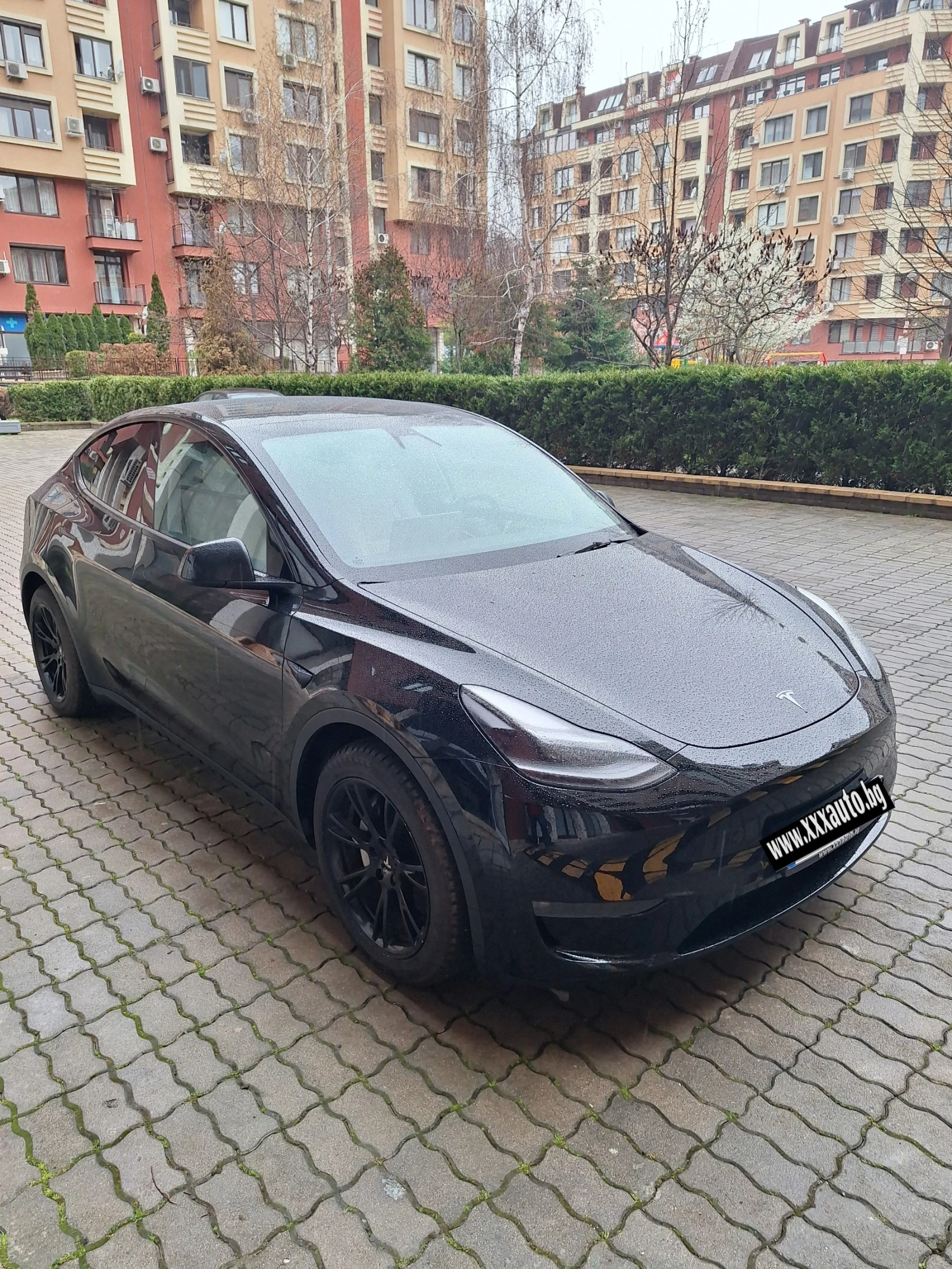 Tesla Model Y  - изображение 2