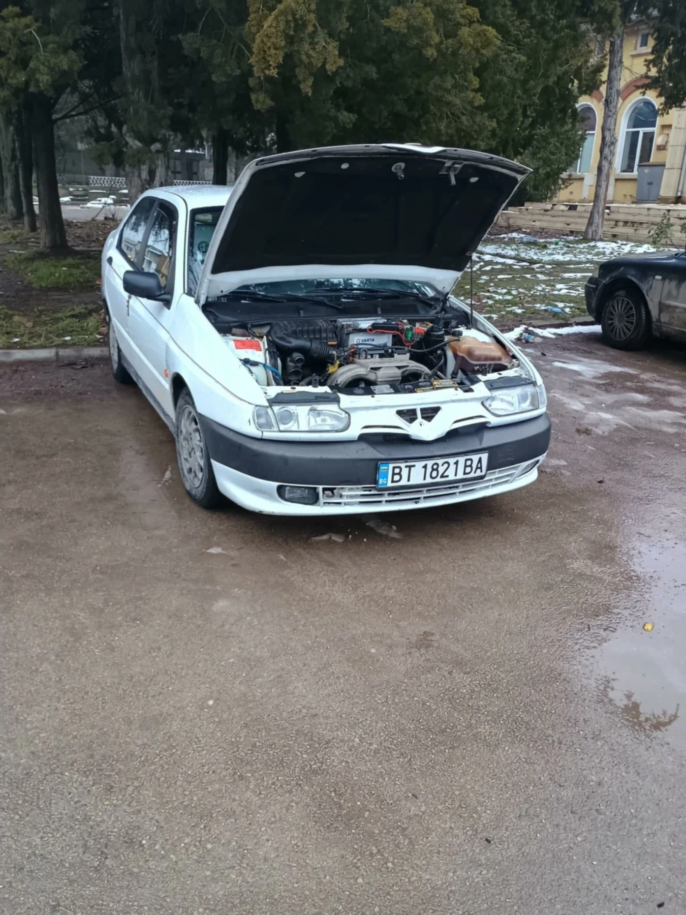 Alfa Romeo 146 1, 6i | Mobile.bg � ����������� 1
