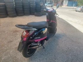     Benelli 49X