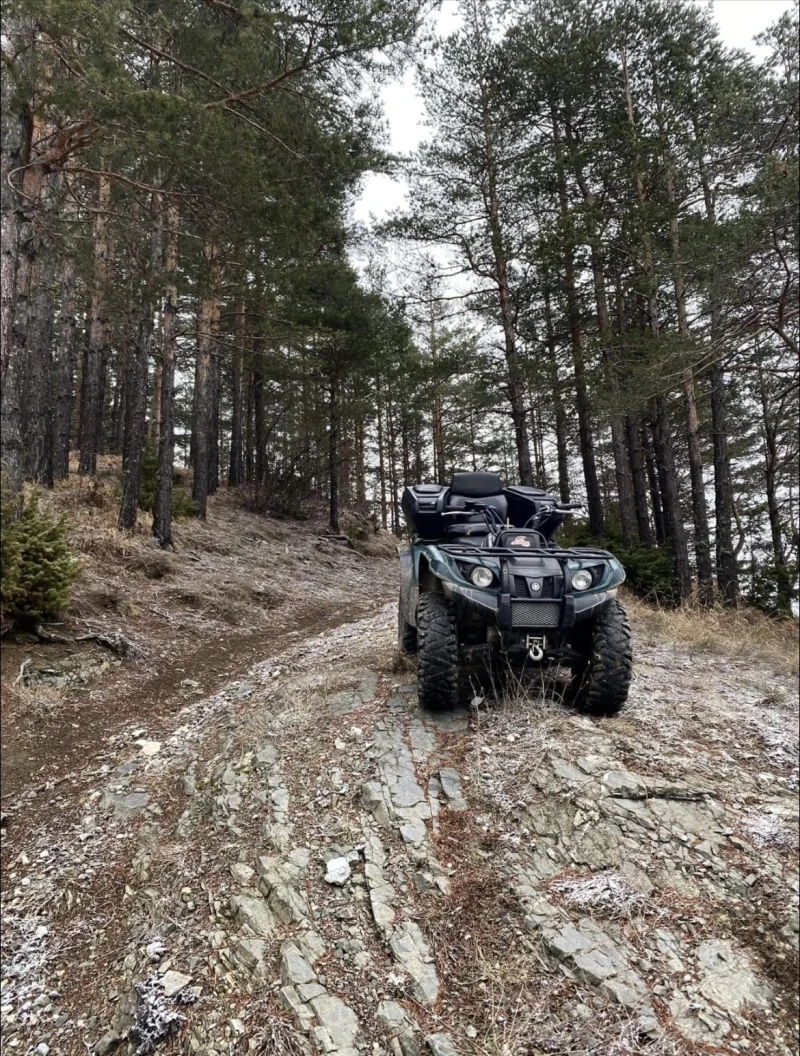Yamaha Grizzly, снимка 2 - Мотоциклети и мототехника - 52483352