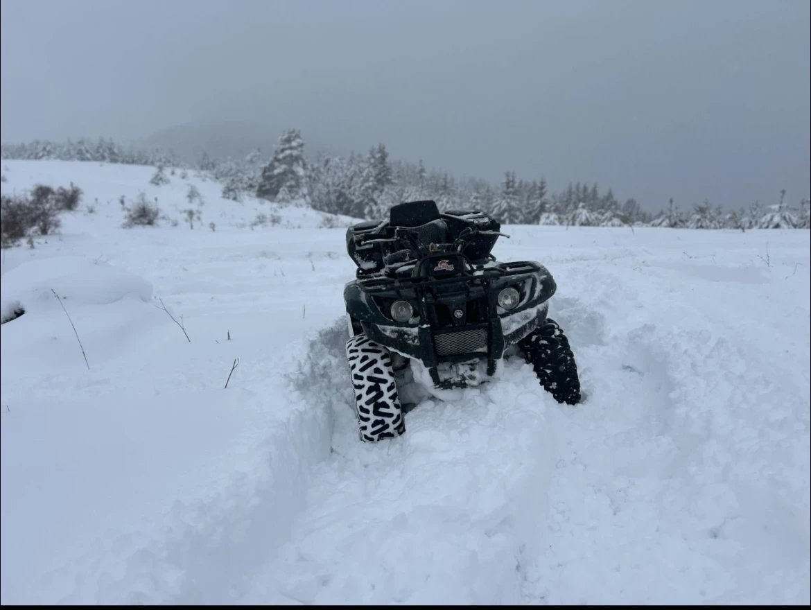 Yamaha Grizzly  - изображение 5