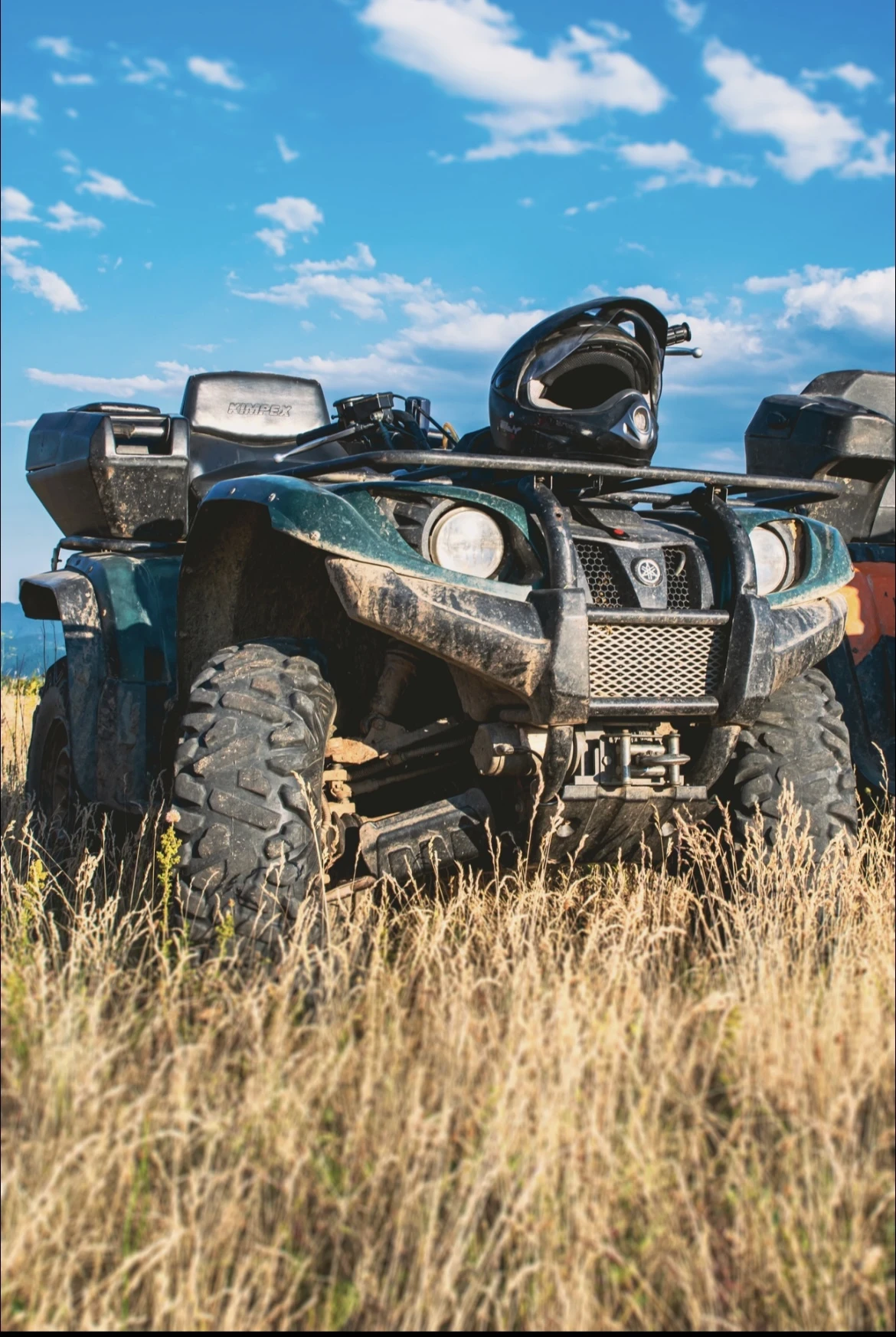 Yamaha Grizzly | Mobile.bg   1
