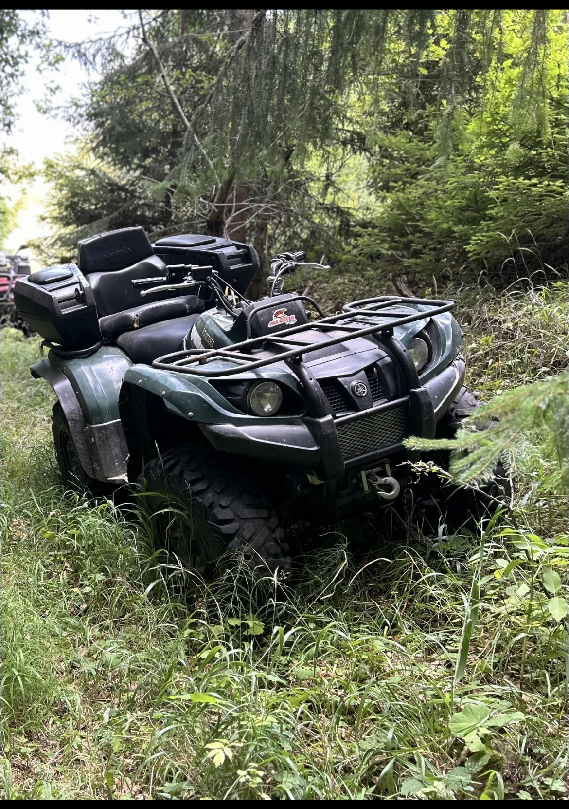 Yamaha Grizzly  - изображение 4