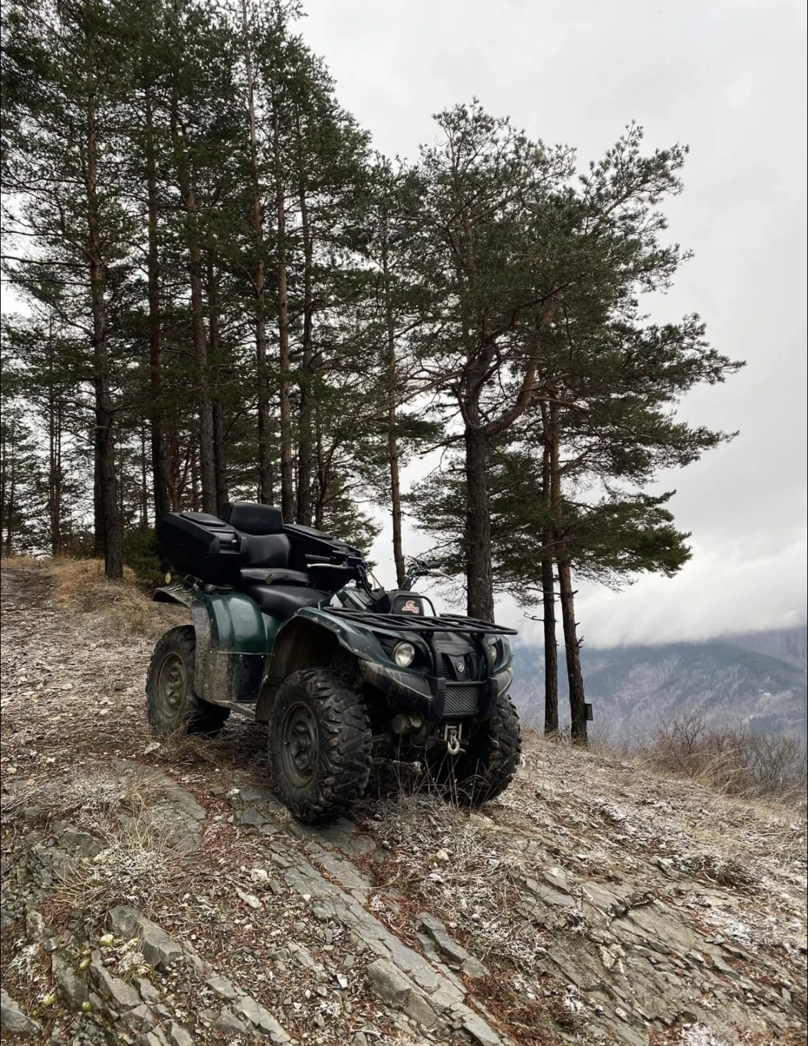 Yamaha Grizzly  - изображение 3