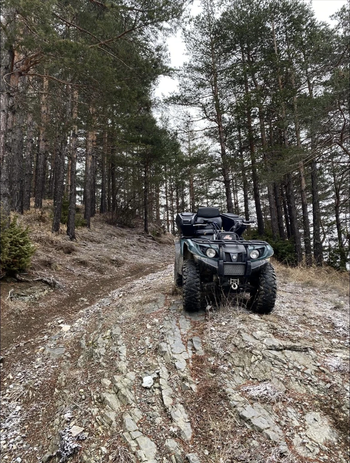 Yamaha Grizzly  - изображение 2