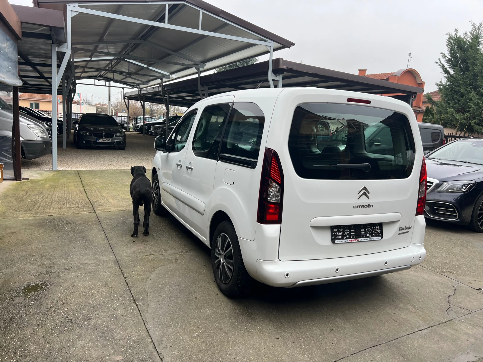 Citroen Berlingo Германия перфект - изображение 8