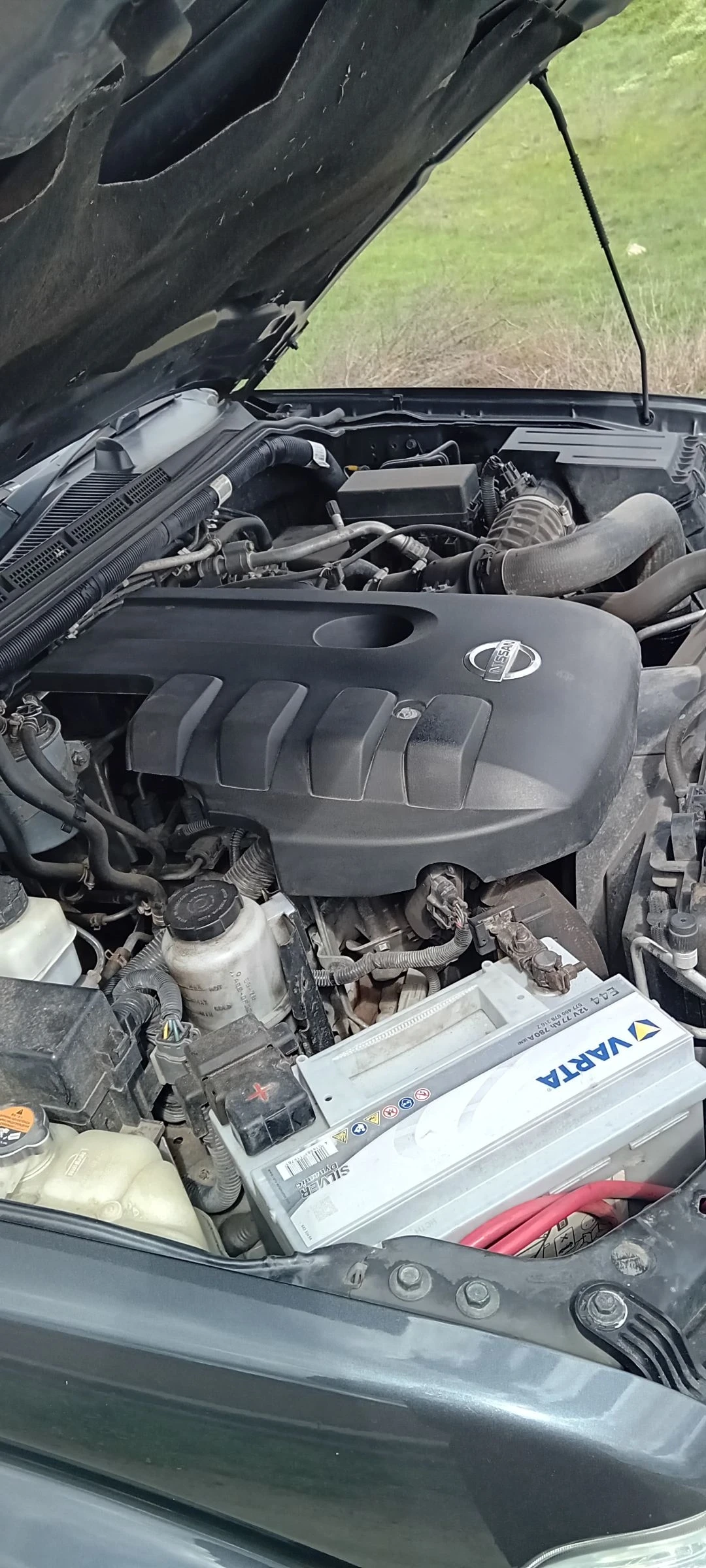 Nissan Navara, снимка 12 - Автомобили и джипове - 54145609