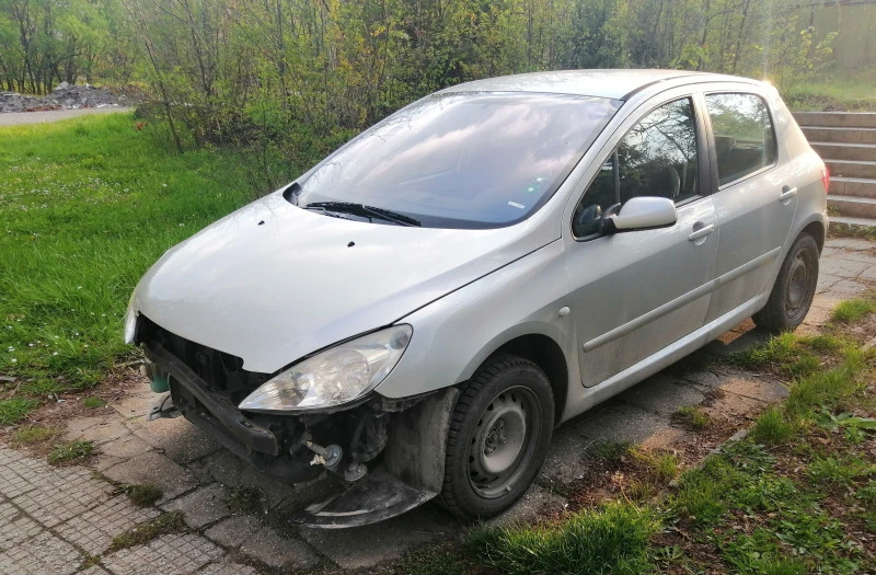 Peugeot 307 2.0 hdi, снимка 1 - Автомобили и джипове - 48360714