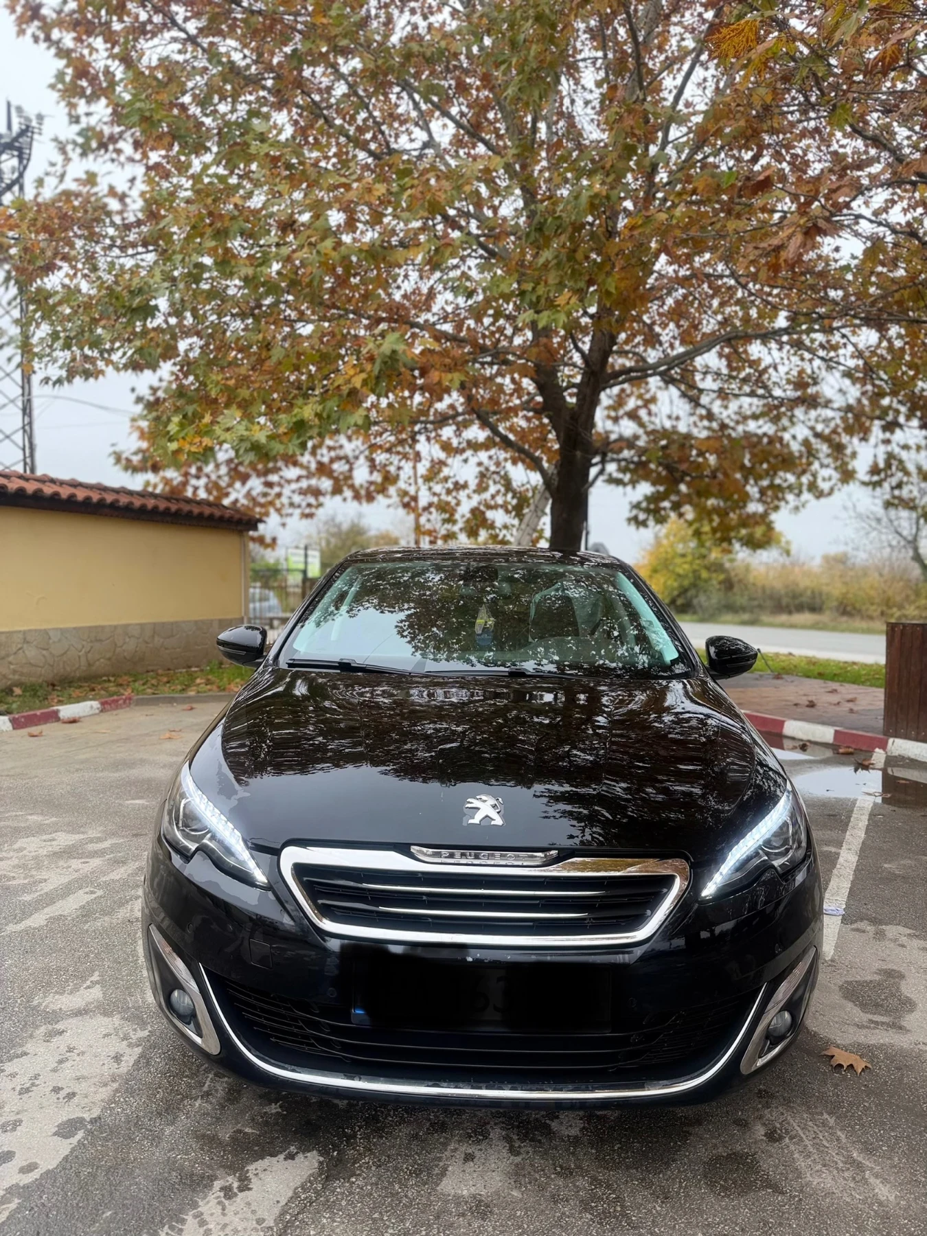 Peugeot 308 1.6D/��������/���/ | Mobile.bg � ����������� 3