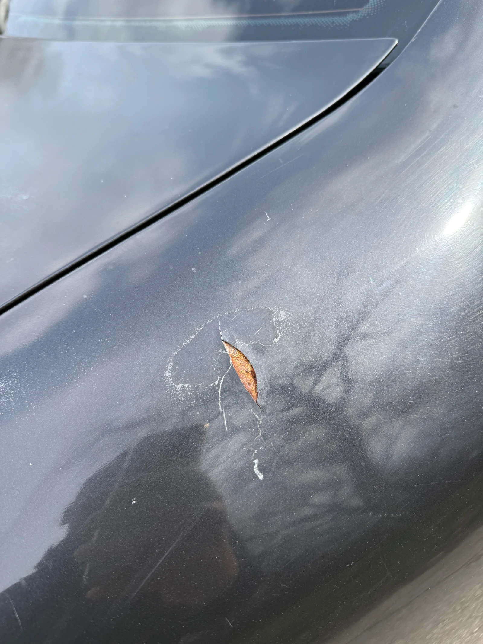 VW Passat VW PASSAT 1.9TDI, снимка 11 - Автомобили и джипове - 53949927