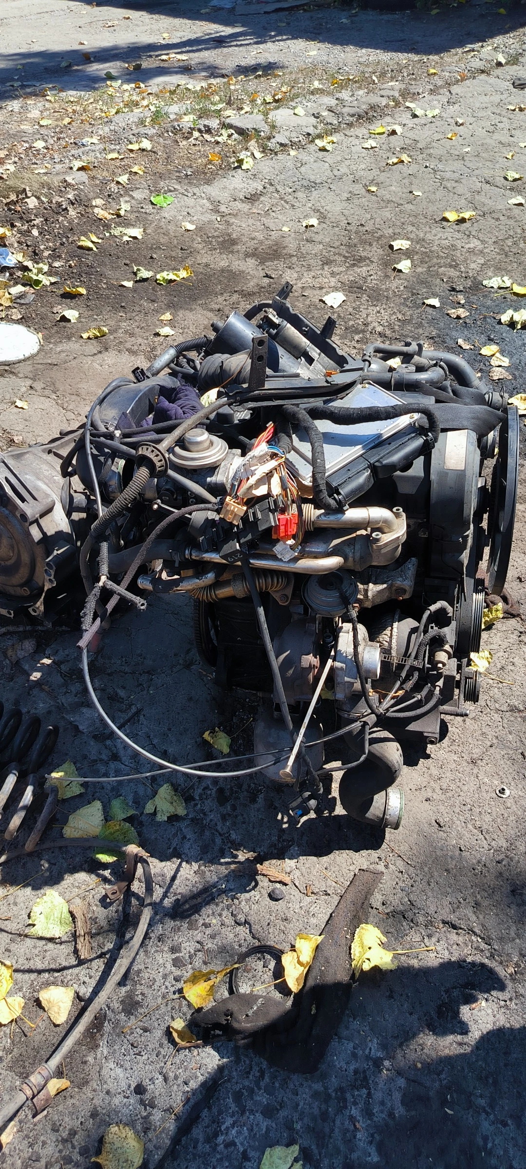 ���������� ����� �5.5 ����� 1.9TDI 131 �.�. 2002 �. �� ����� | Mobile.bg � ����������� 5