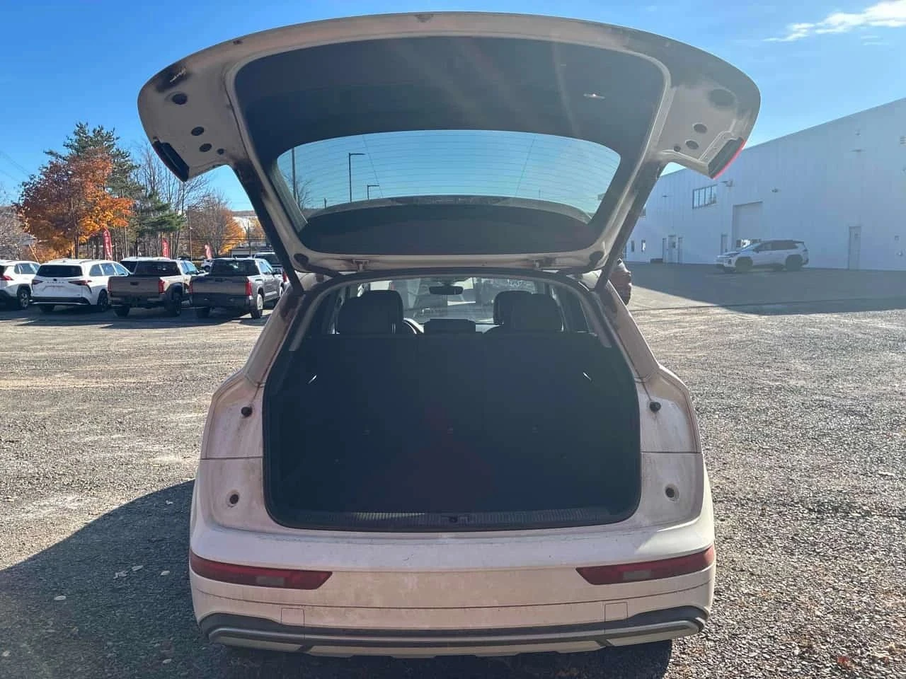 Audi Q5, снимка 12 - Автомобили и джипове - 56726660