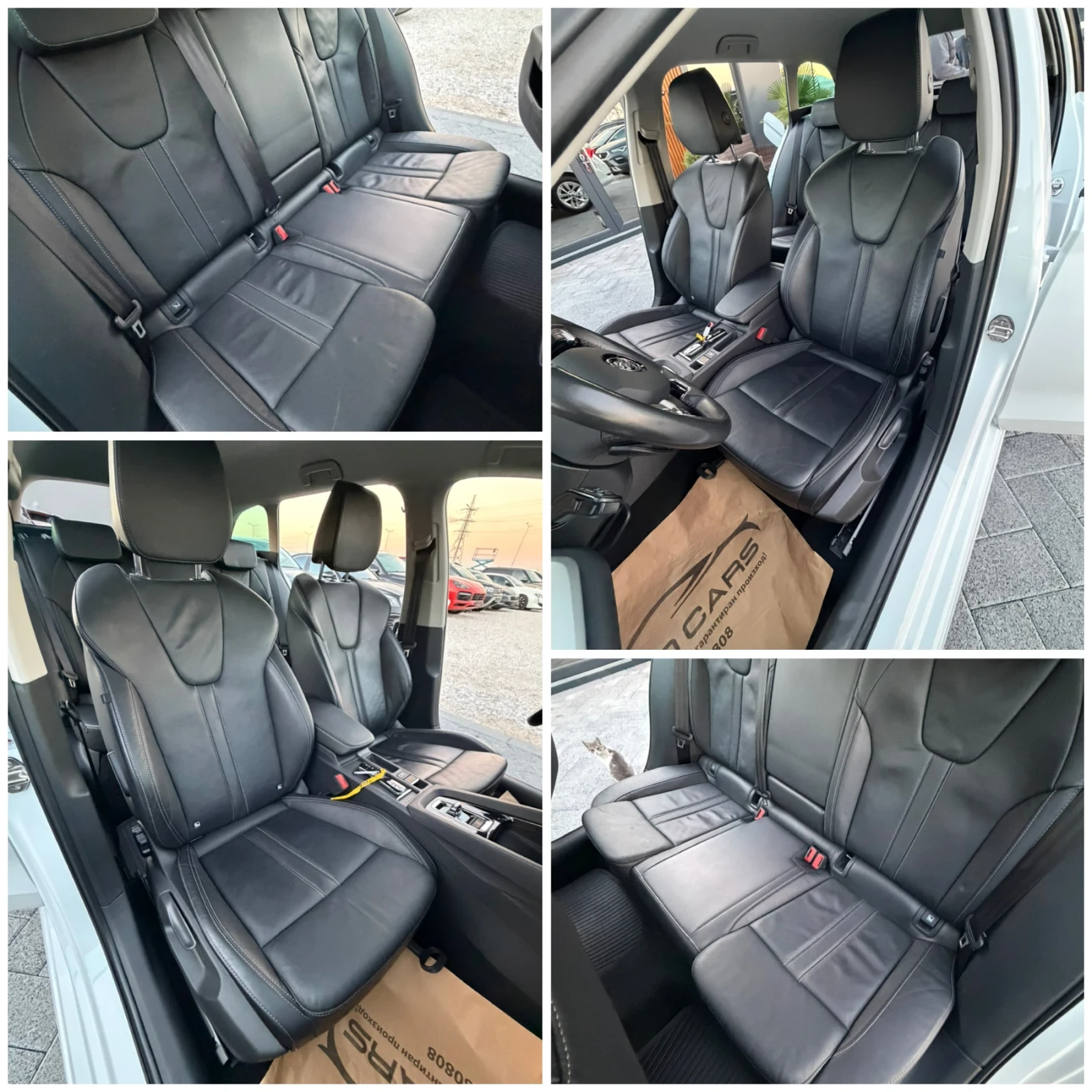 Skoda Octavia    ! | Mobile.bg   14