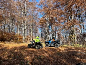 Polaris Phoenix   | Mobile.bg    5