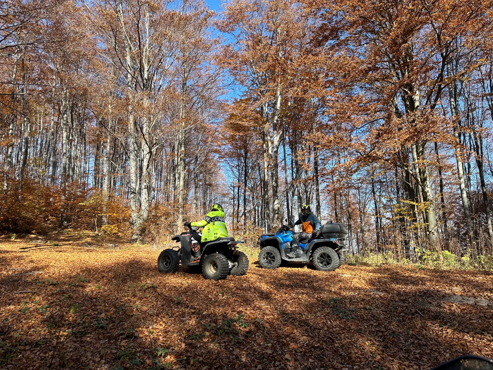 Polaris Phoenix   | Mobile.bg   5