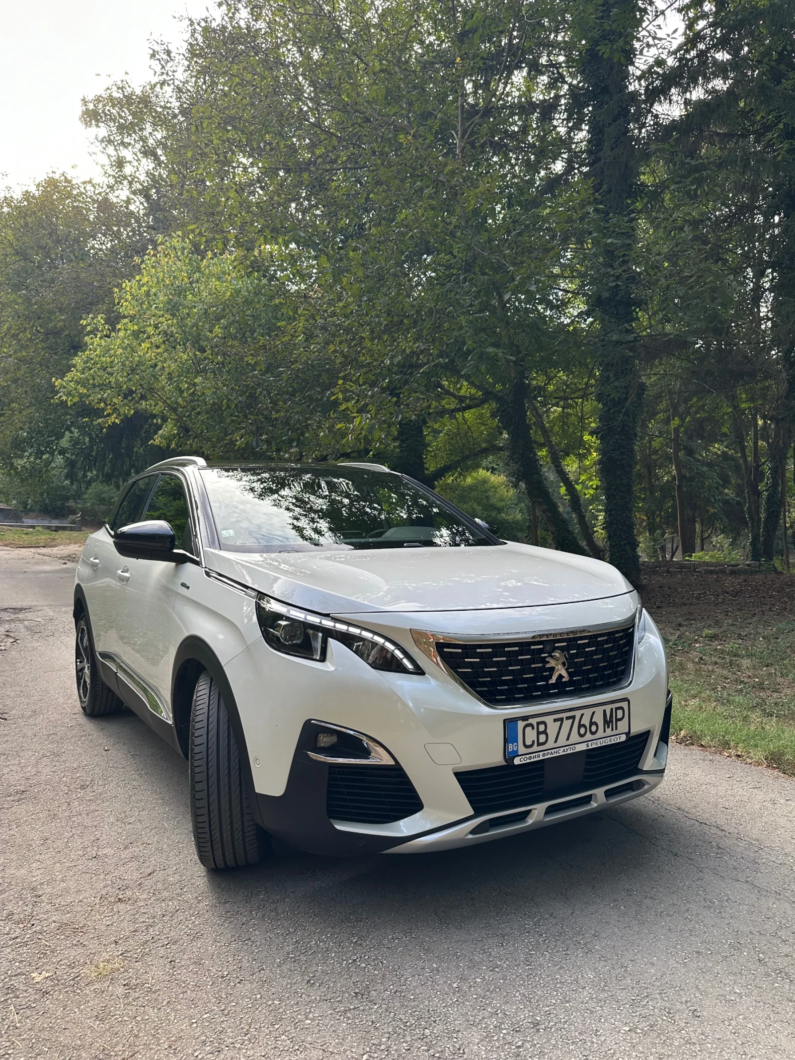 Peugeot 3008 GT Line 2.0, снимка 5 - Автомобили и джипове - 56153235