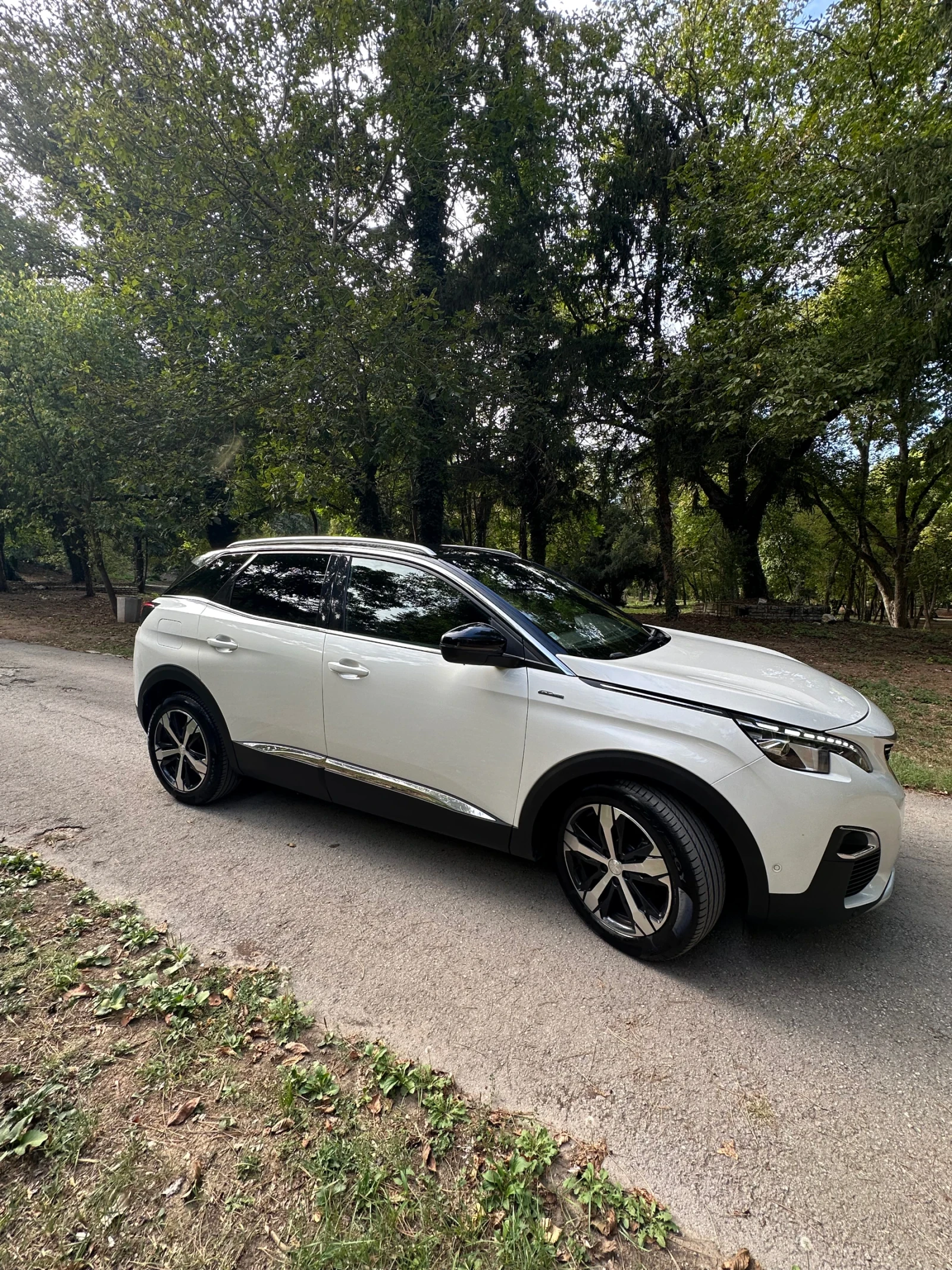 Peugeot 3008 GT Line 2.0, снимка 4 - Автомобили и джипове - 56153235
