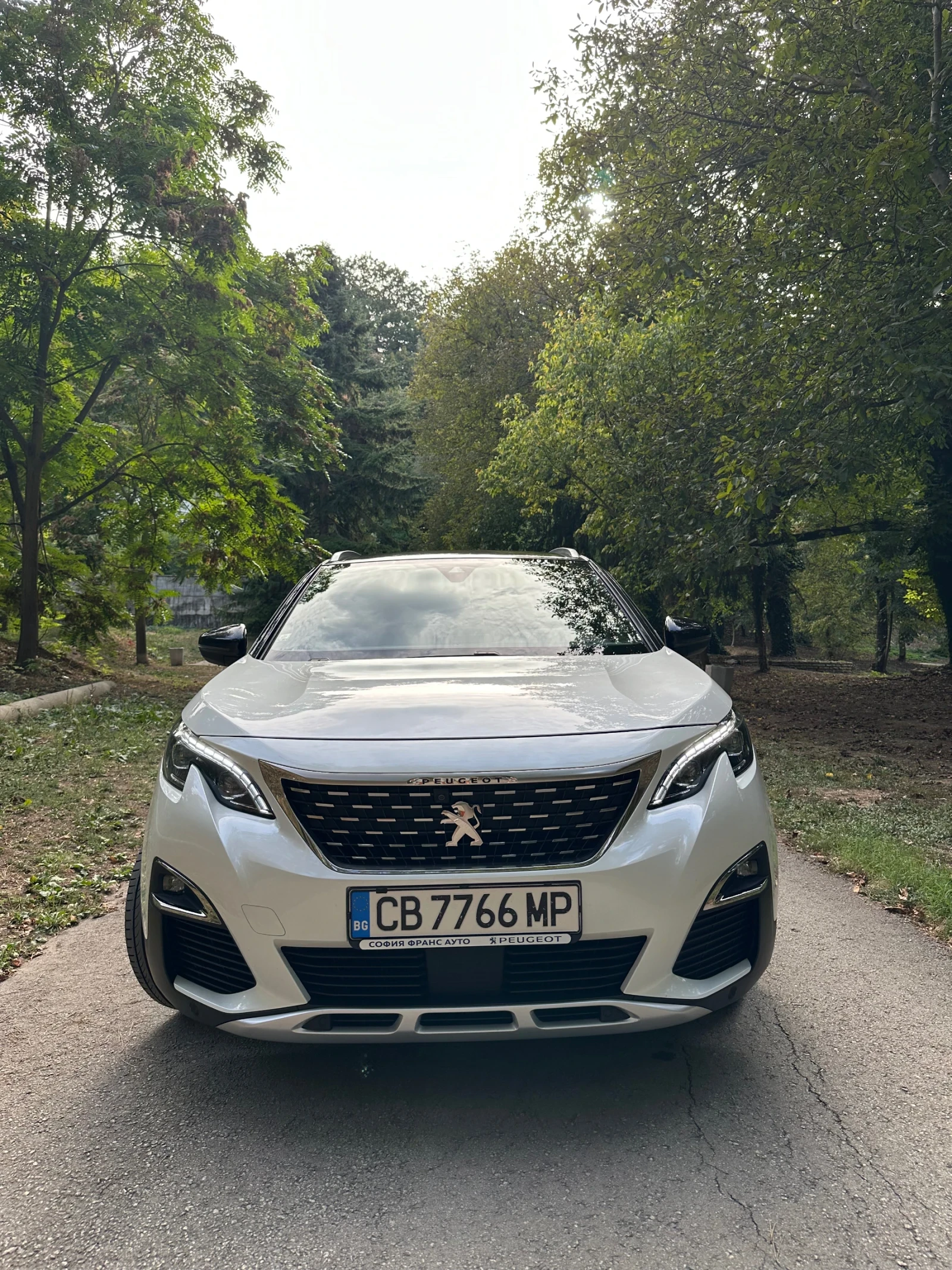 Peugeot 3008 GT Line 2.0, снимка 6 - Автомобили и джипове - 56153235