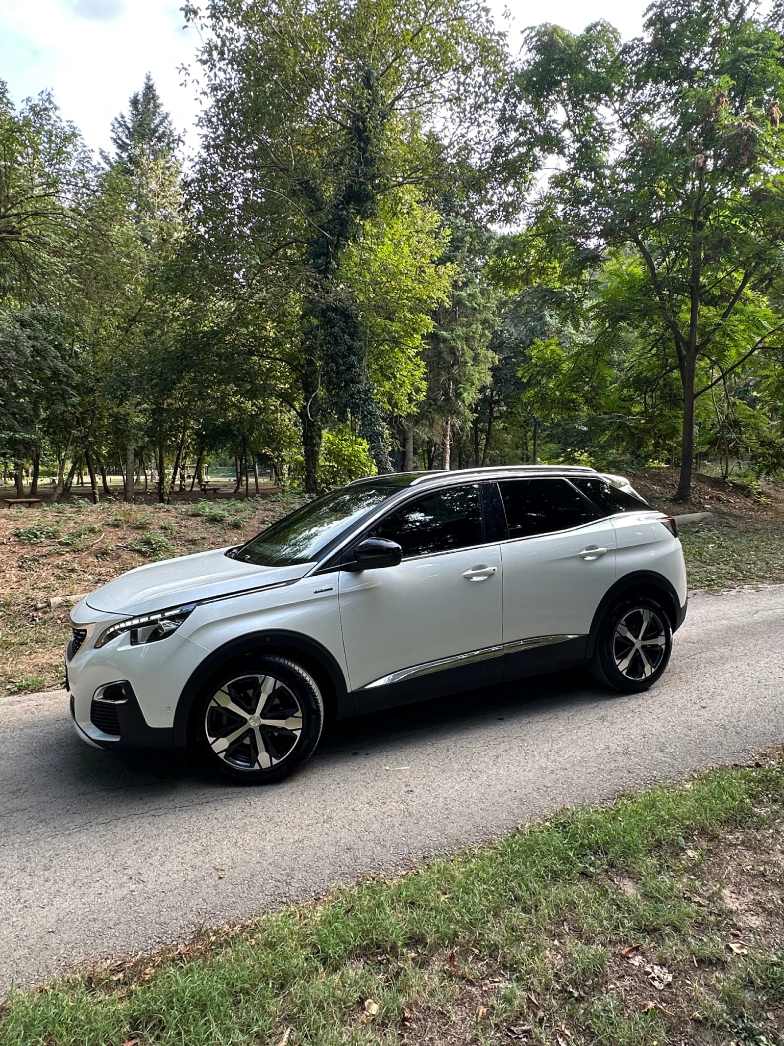 Peugeot 3008 GT Line 2.0, снимка 3 - Автомобили и джипове - 56153235