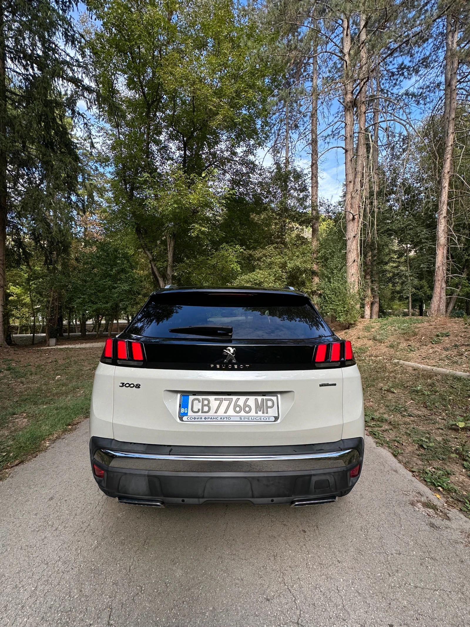 Peugeot 3008 GT Line 2.0, снимка 2 - Автомобили и джипове - 56153235