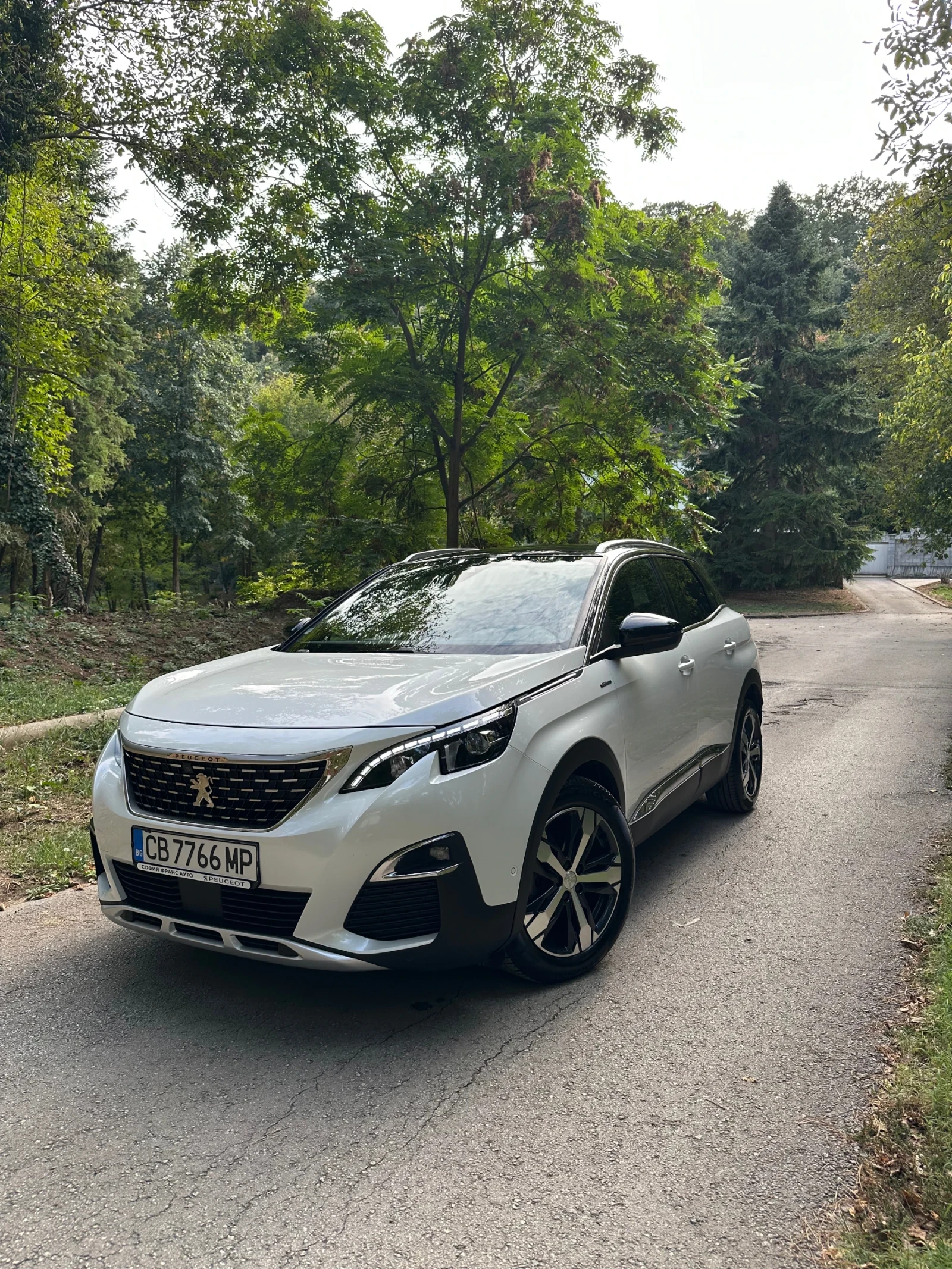 Peugeot 3008 GT Line 2.0