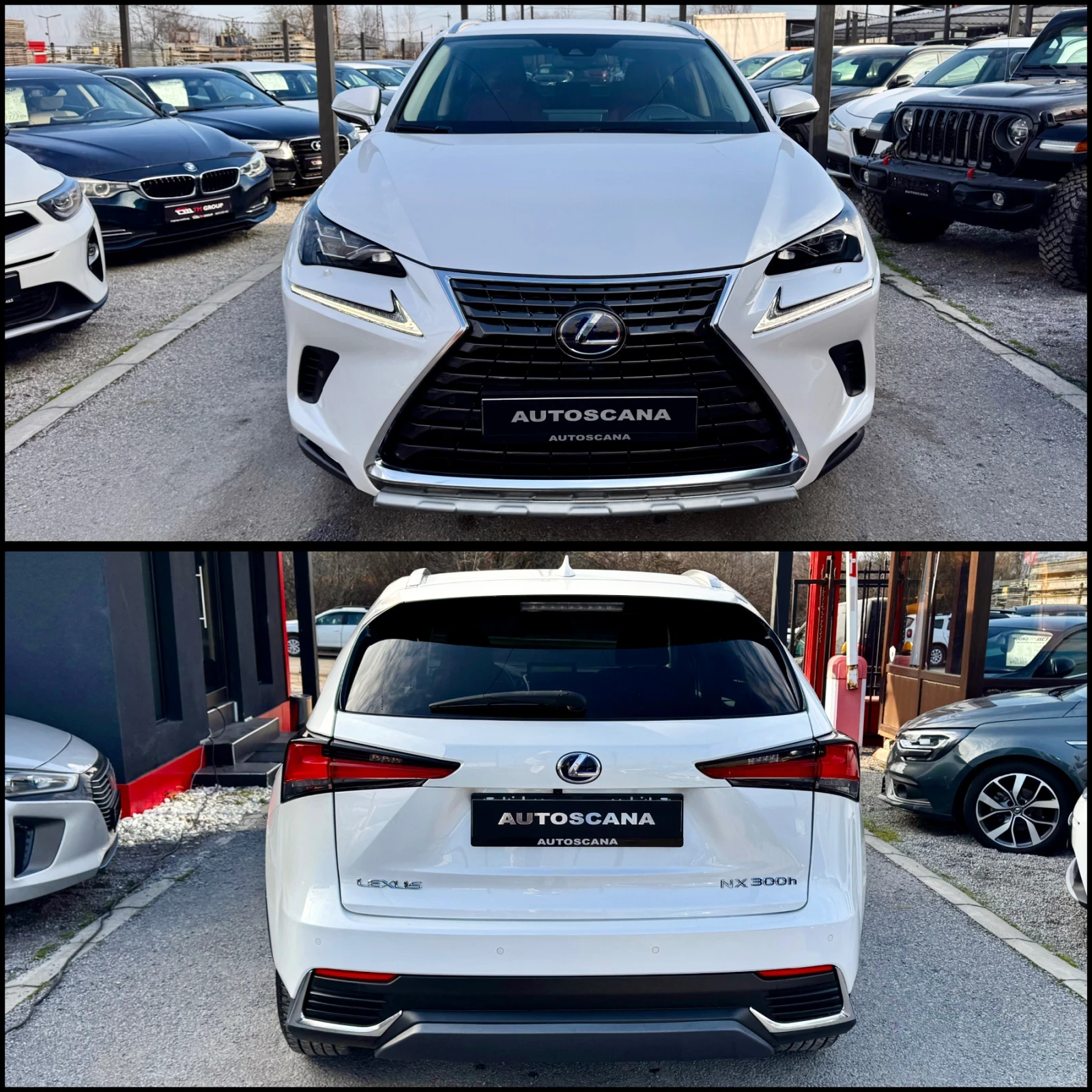 Lexus NX 300h LUXURY / CARTIER / НАЛИЧЕН - изображение 7