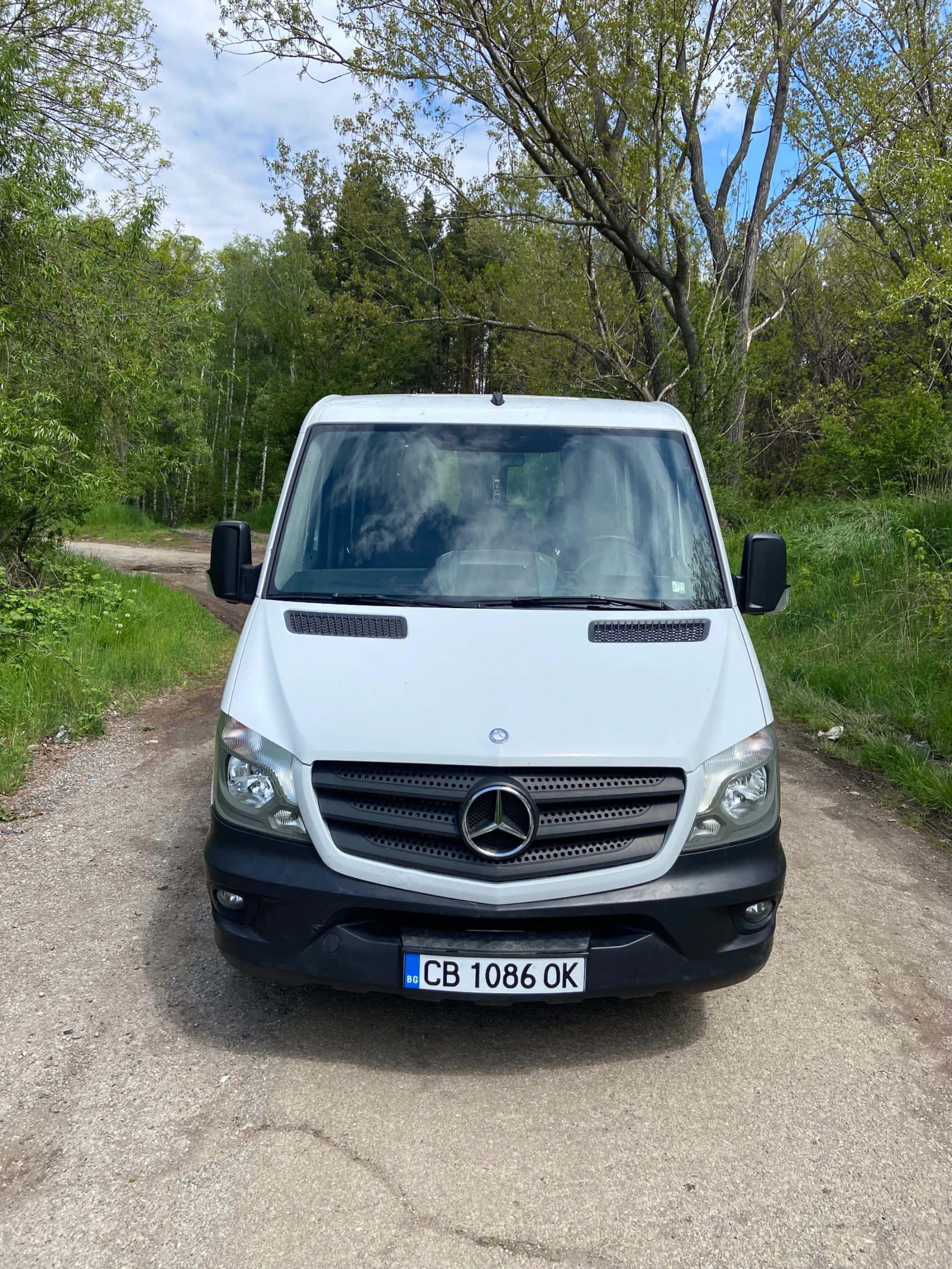 Mercedes-Benz 313, снимка 8 - Бусове и автобуси - 54387794